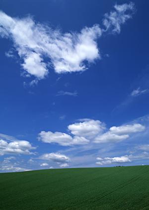 近年増えている家族葬と火葬式について
