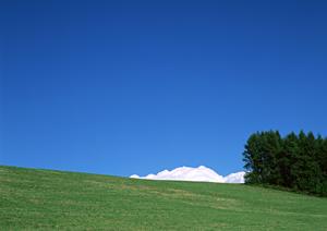 栃木県宇都宮市の家族葬専門斎場【家族葬のタクセル竹林町】で心温まるお見送りを実現