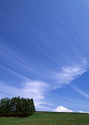 大阪にある屋内納骨堂は永代供養付きも