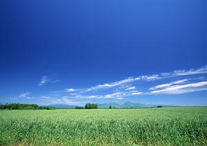 【公式】さがみ典礼 滝の原:栃木県宇都宮市で高評価の家族葬・一般葬を提供する葬儀場の詳細と特徴