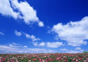 静岡市にある富士葬祭 清水有東坂:安心の葬儀サービスと充実の施設紹介