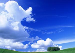 静岡市の家族葬に最適な【家族葬のタクセル長沼】:低価格・充実した設備・宗派対応も万全な葬儀場のご紹介