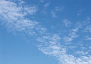 静岡市で選ぶ低価格な家族葬と火葬サービス|家族葬のタクセルの特徴と店舗詳細