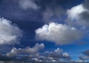 静岡市で信頼できる葬儀サービスを提供する富士葬祭静岡の全貌と特徴