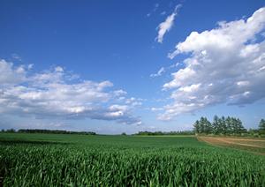 浜松市浜名区の家族葬に最適な小規模葬儀場【富士葬祭 浜北沼】の特徴とサービス内容