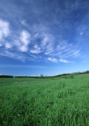 静岡県浜松市の安心・信頼の家族葬専門斎場｜家族葬のタクセル領家の特徴とアクセスガイド