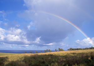 静岡市駿河区の家族葬・少人数葬儀を安心・便利に行える【富士葬祭 聖一色】の概要と特徴