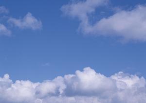 403 Forbiddenエラーに関する解説と対処法