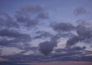 静岡県で低価格・安心の家族葬を提供する【家族葬のタクセル】の全サービス詳細と店舗情報